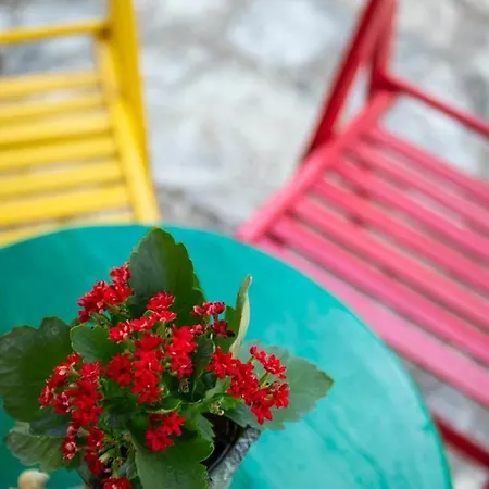 Casa vacanze Floropounta Trimiklini